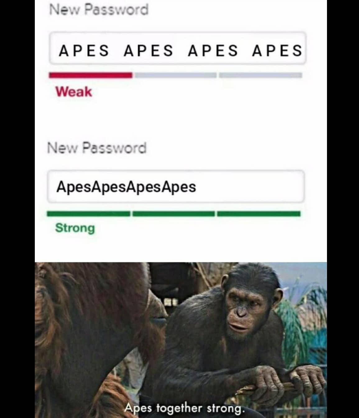 dank memes - apes strong - New Password  Apes Apes Apes Apes Weak New Password ApesApesApes Apes Strong Apes together strong.