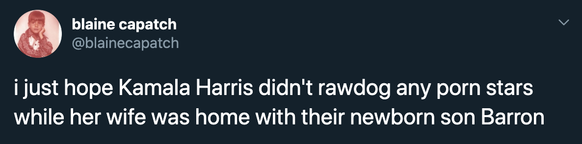 i just hope Kamala Harris didn't rawdog any porn stars while her wife was home with their newborn son Barron