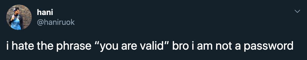 i hate the phrase you are valid. bro I am not a password