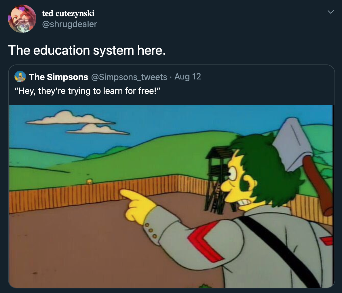 The education system here. - The Simpsons hey they're trying to learn for free!