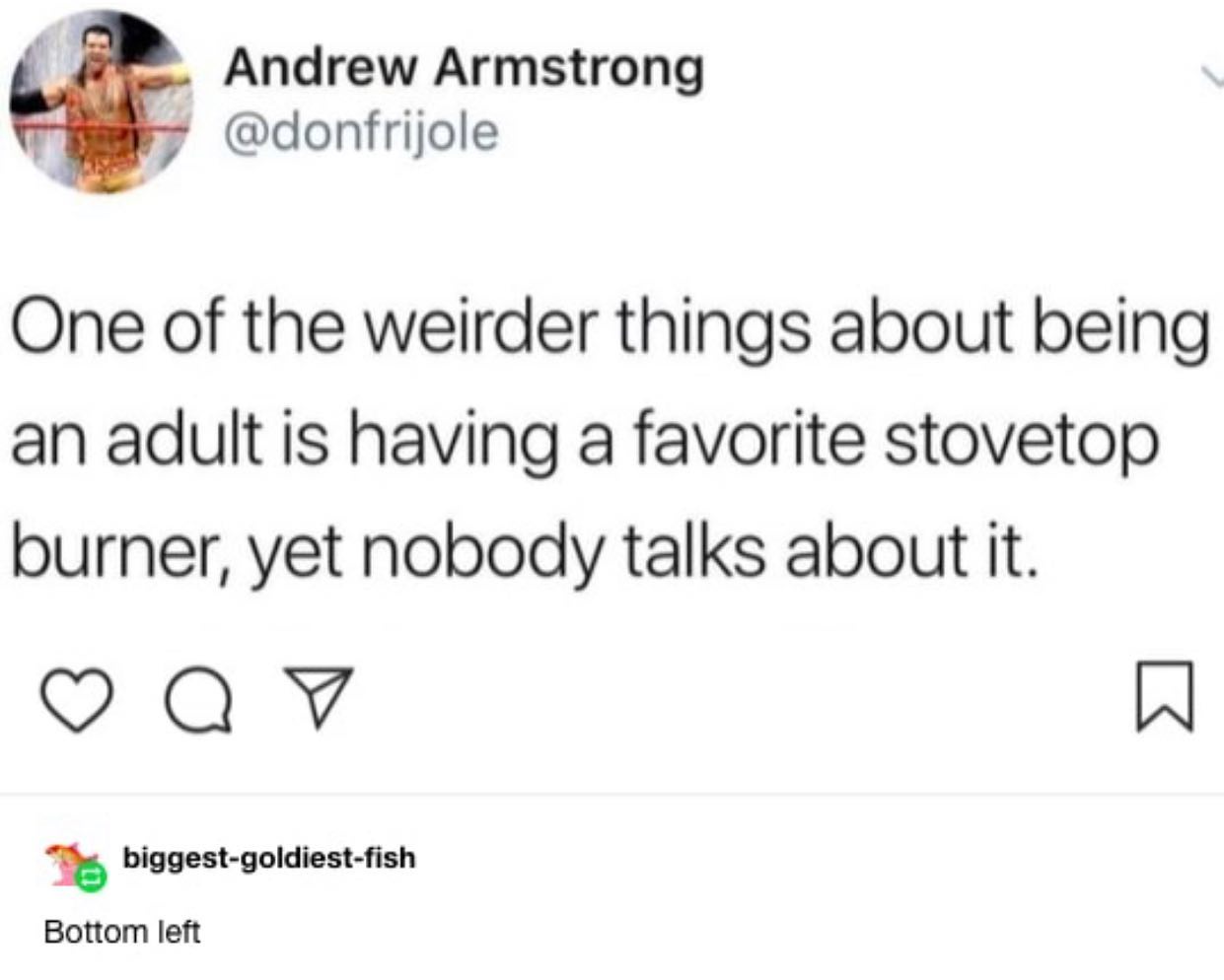 dank memes - bag salad meme - Andrew Armstrong One of the weirder things about being an adult is having a favorite stovetop burner, yet nobody talks about it Q a biggestgoldiestfish Bottom left