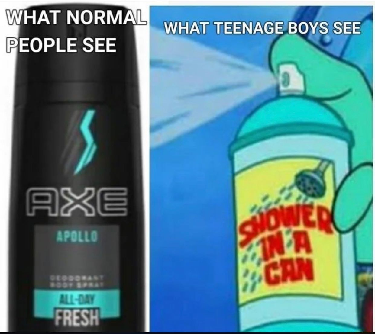 dank memes - funny memes spongebob - What Normal People See What Teenage Boys See Axe Apollo Ina Can AllDay Fresh