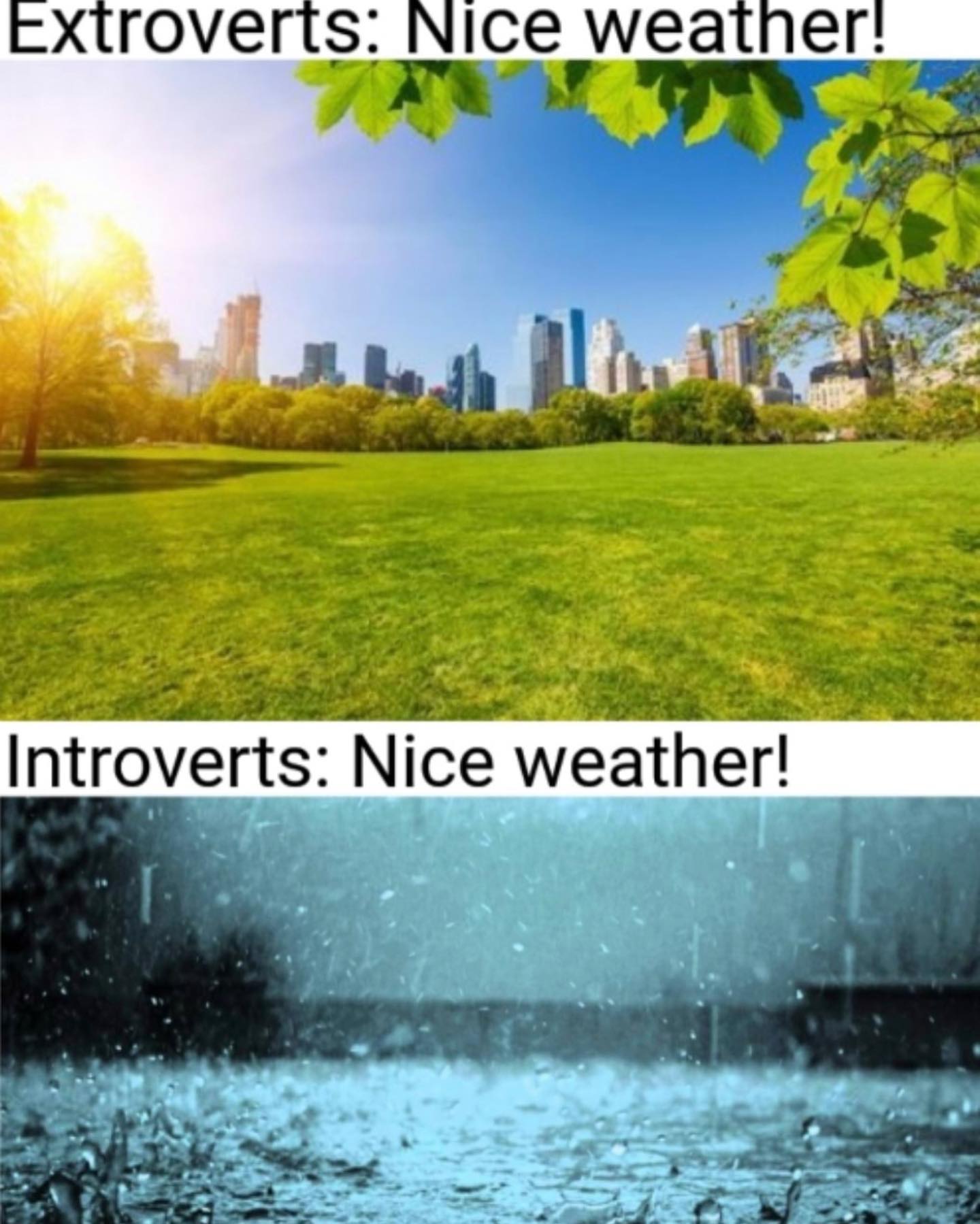 dank memes - summer nyc central park - Extroverts Nice weather! Introverts Nice weather!