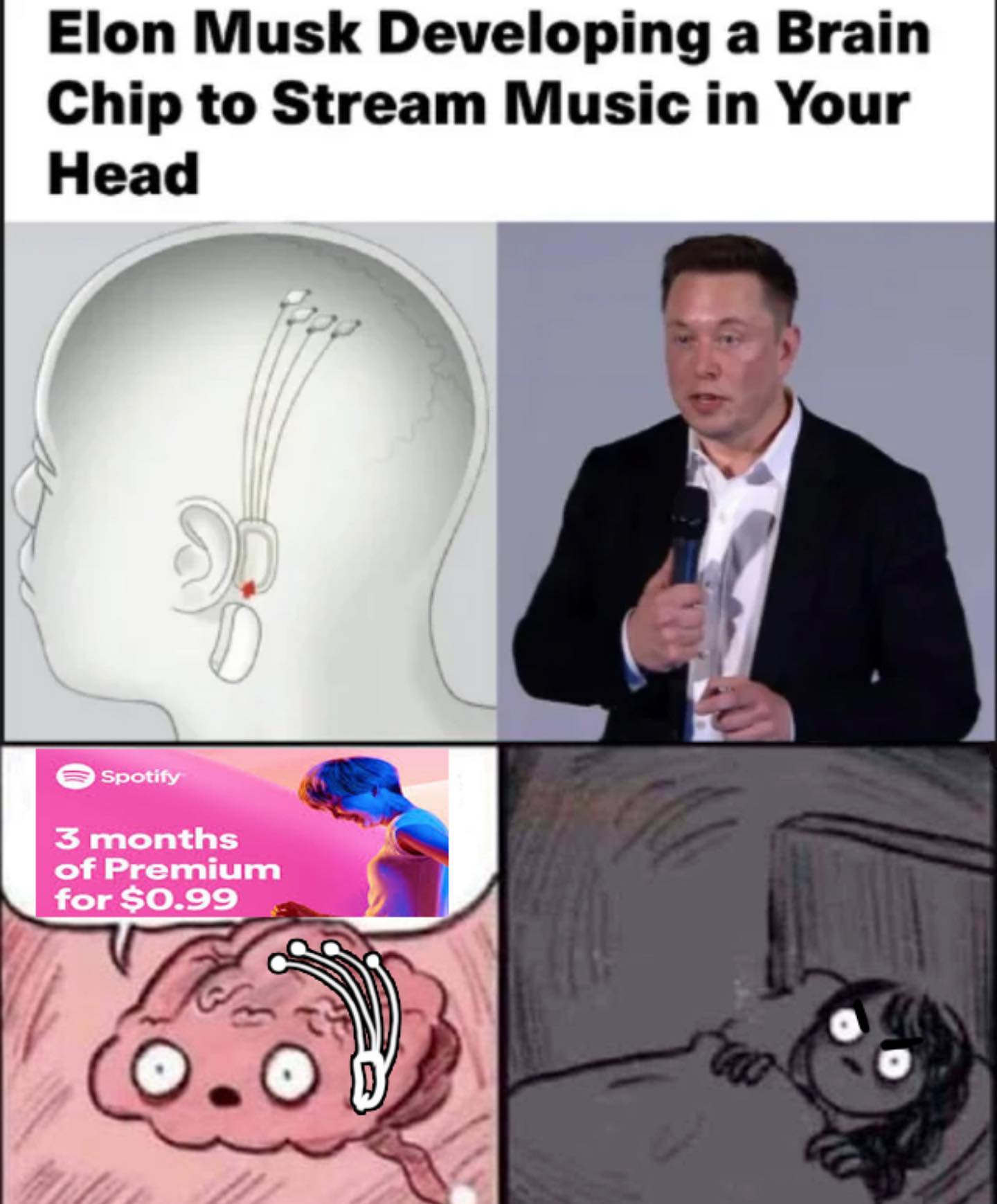 dank memes - cartoon - Elon Musk Developing a Brain Chip to Stream Music in Your Head so Spotify 3 months of Premium for $0.99 too