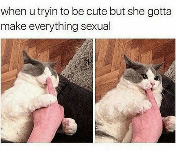 dirty-memes dirty cute memes - when u tryin to be cute but she gotta make everything sexual