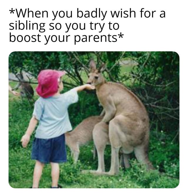 dirty-memes female kangaroo 3 vaginas - When you badly wish for a sibling so you try to boost your parents