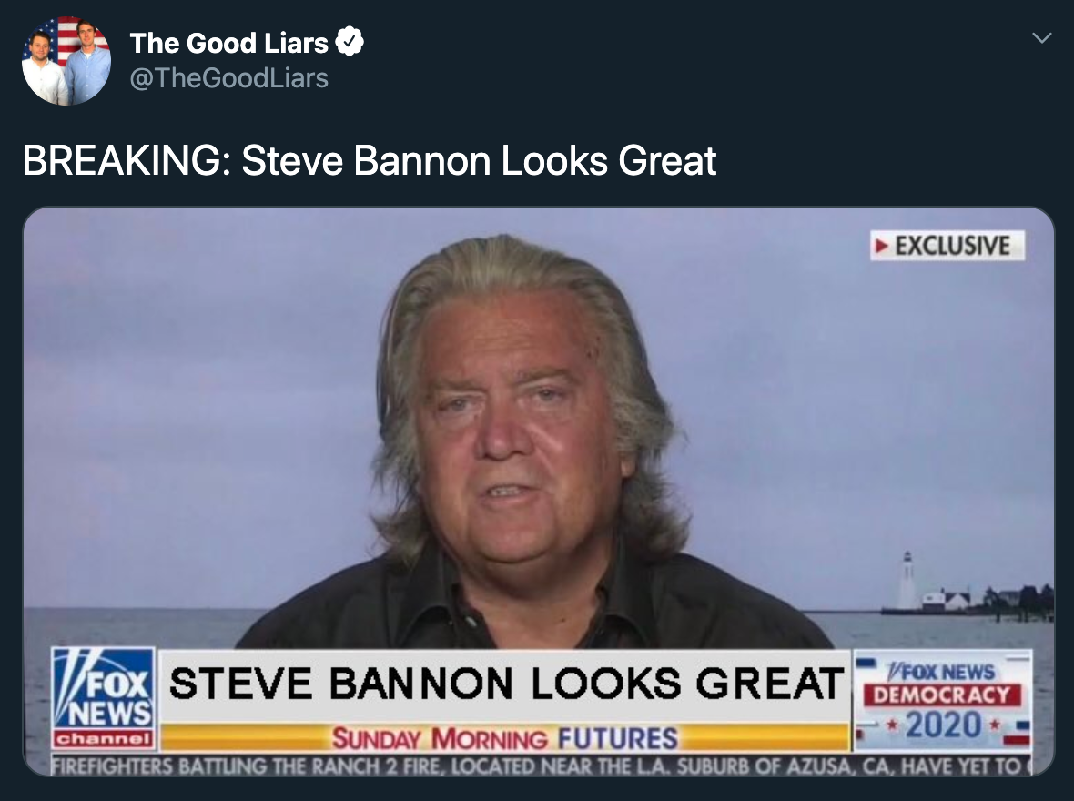 Steve Bannon Got Roasted for Looking like He Eats Children (12 Pics)