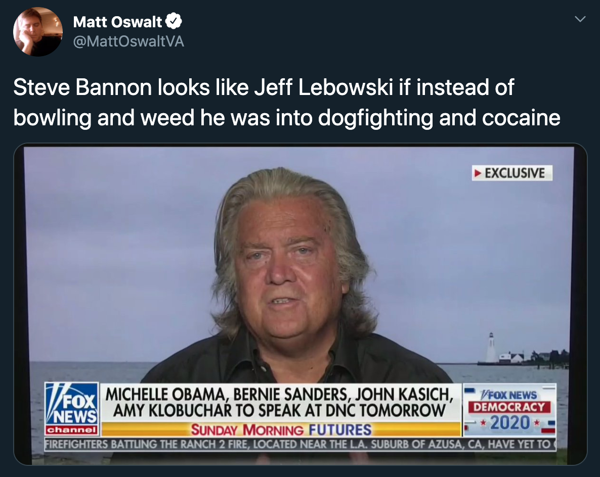Steve Bannon looks like Jeff Lebowski if instead of bowling and weed he was into dogfighting and cocaine