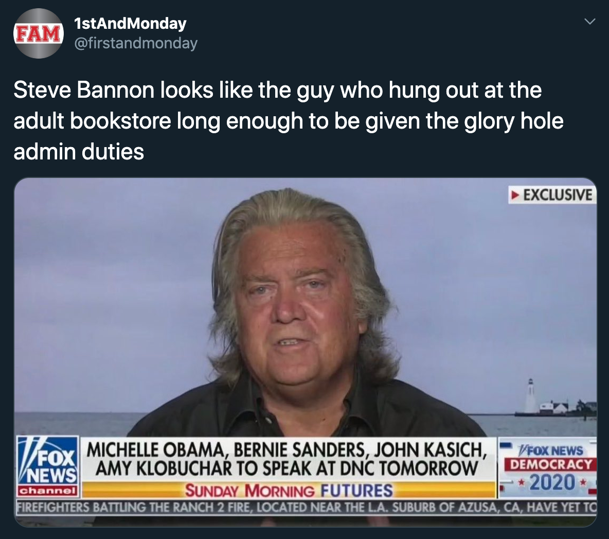 Steve Bannon looks like the guy who hung out at the adult bookstore long enough to be given the glory hole admin duties