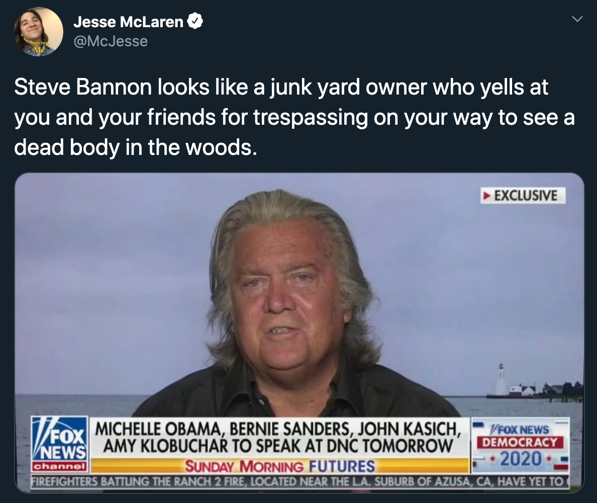 Steve Bannon looks like a junk yard owner who yells at you and your friends for trespassing on your way to see a dead body in the woods.