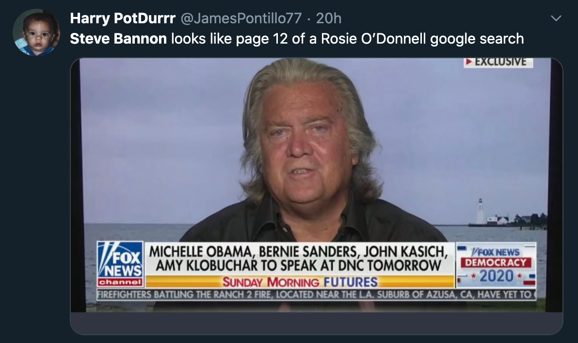 Steve Bannon looks like page 12 of a Rosie O'Donnell google search