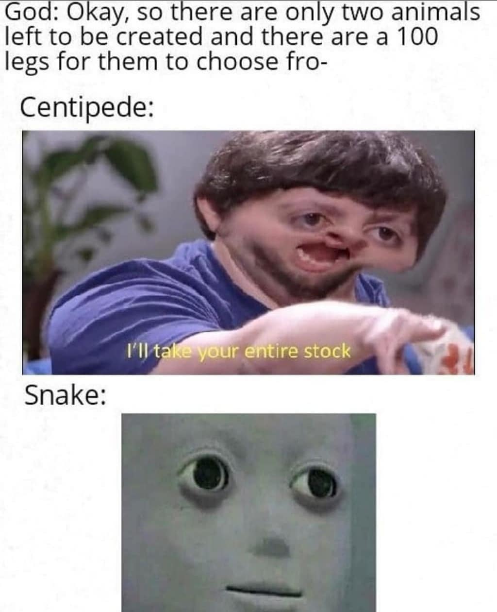 centipede snake meme - God Okay, so there are only two animals left to be created and there are a 100 legs for them to choose fro Centipede I'll take your entire stock Snake