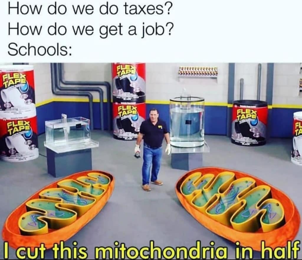 sawed this boat in half - How do we do taxes? How do we get a job? Schools Fl Tare Fle Tar Flex Tap Flex Tape Fles Tapl Fl Ta 1 I cut this mitochondria in half