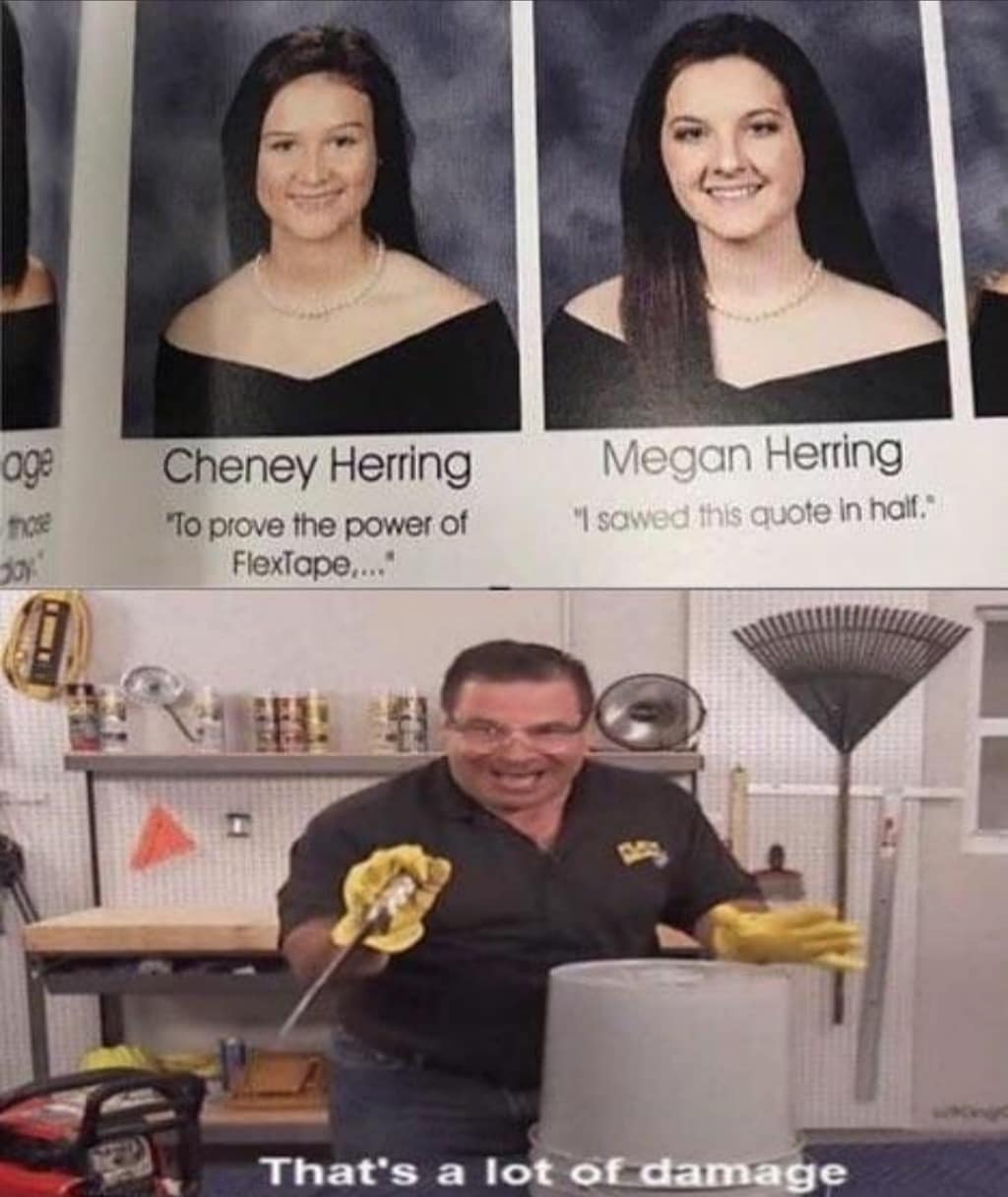 thats a lot of damage - age Cheney Herring "To prove the power of FlexTape...." Megan Herring "I sowed this quote in half. ze That's a lot of damage