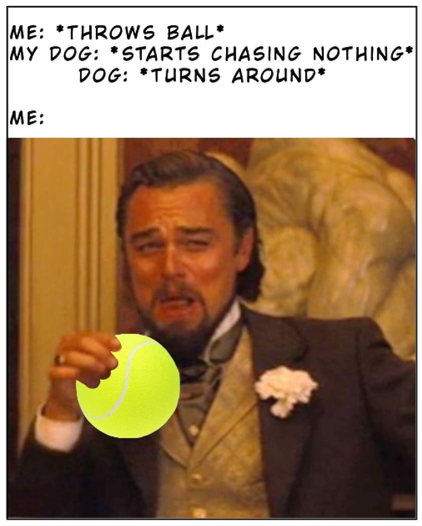 leonardo dicaprio blizzard meme - Me Throws Ball My Dog Starts Chasing Nothing Dog Turns Around Me