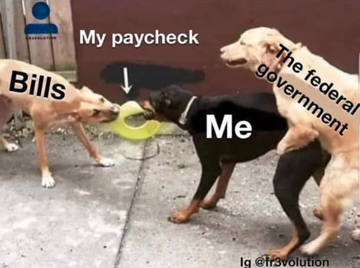My paycheck The federal government Bills Me