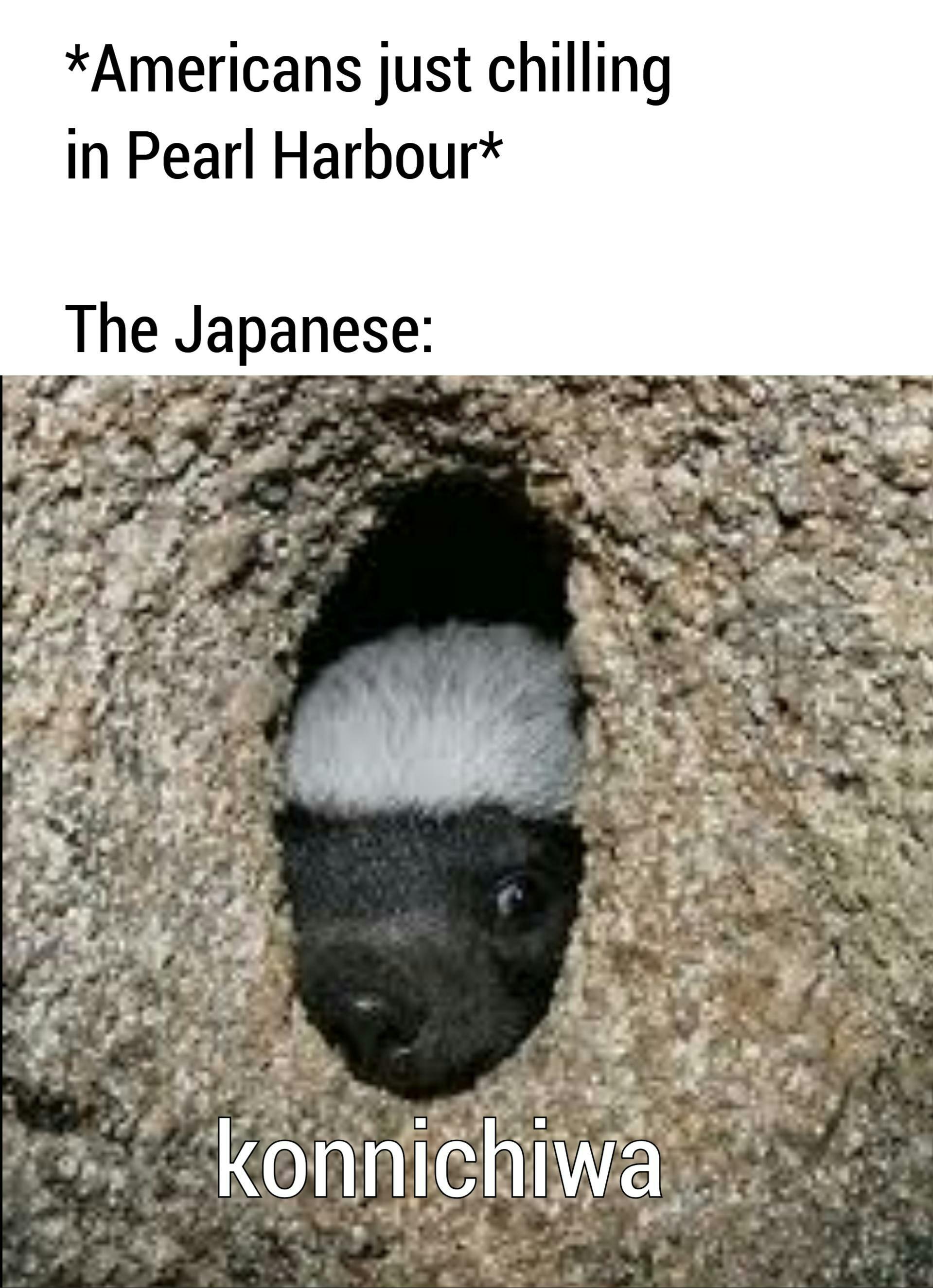 dank memes - honey badger - Americans just chilling in Pearl Harbour The Japanese konnichiwa