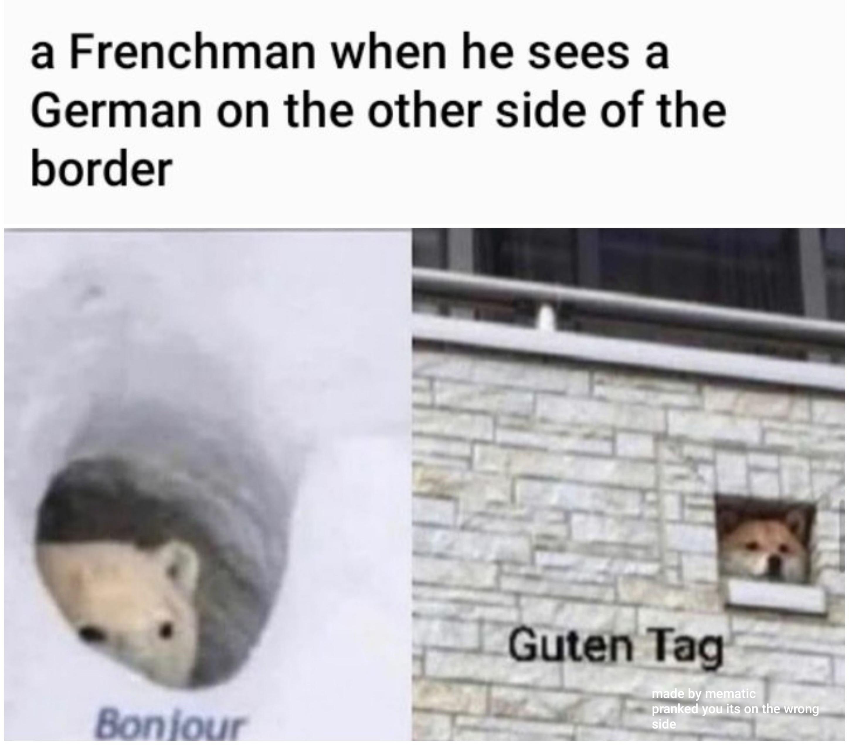 dank memes - guten tag dog - a Frenchman when he sees a German on the other side of the border Guten Tag Bonjour made by mematic pranked you its on the wrong side