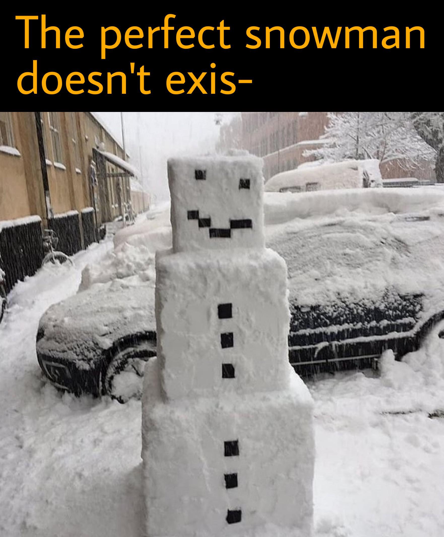 dank memes - minecraft snowman in real life - The perfect snowman doesn't exis