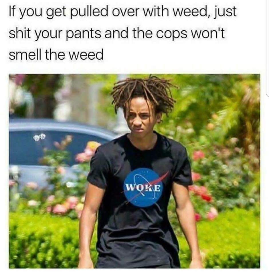 photo caption - If you get pulled over with weed, just shit your pants and the cops won't smell the weed Woke