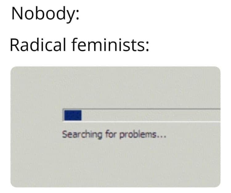 multimedia - Nobody Radical feminists Searching for problems...