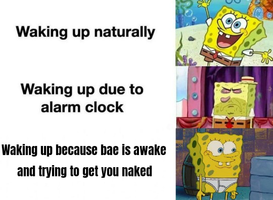 dirty-memes spongebob - Waking up naturally Waking up due to alarm clock Waking up because bae is awake and trying to get you naked