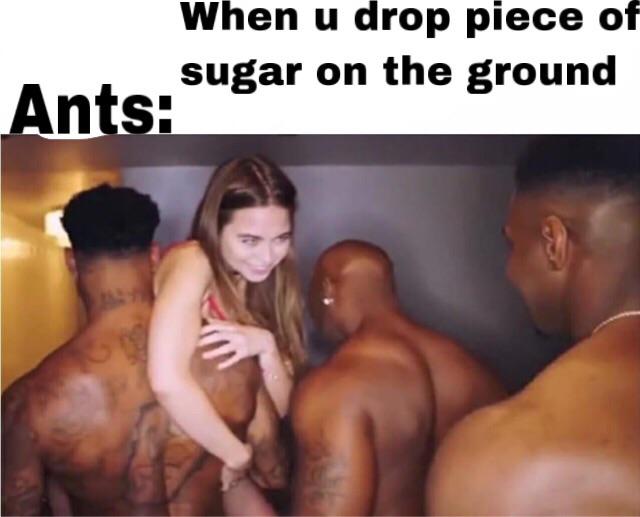 dirty-memes muscle - When u drop piece of sugar on the ground Ants