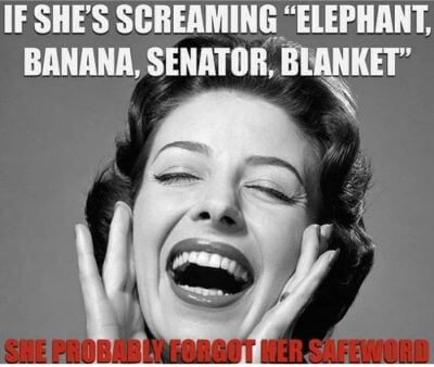 vintage woman laughing - If She'S Screaming Elephant, Banana, Senator, Blanket she probably forgot her safe word