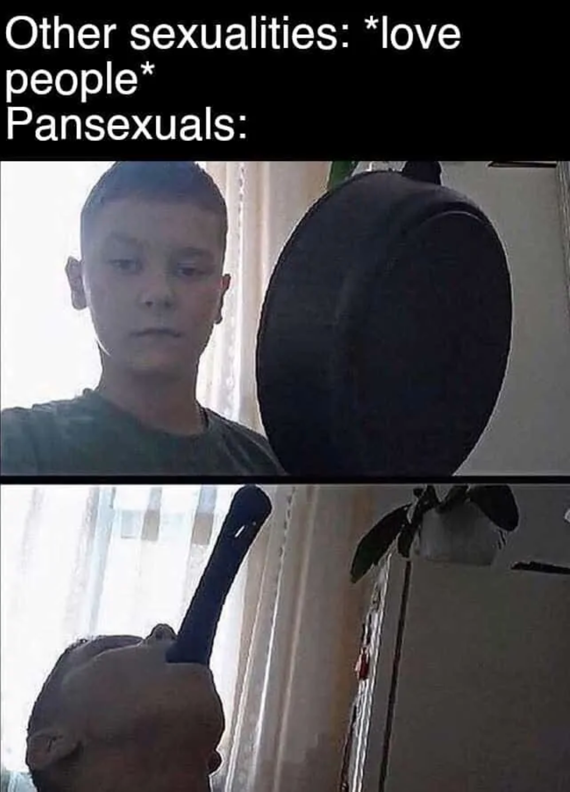 dark memes - Other sexualities love people Pansexuals