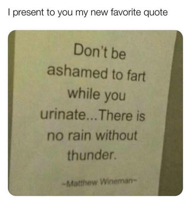 cool random pics - I present to you my new favorite quote Don't be ashamed to fart while you urinate... There is no rain without thunder Matthew Wineman