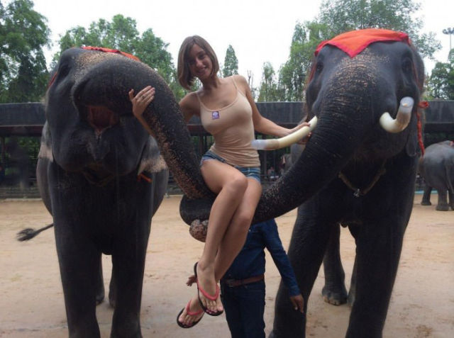cool random pics - elephant girl nipples