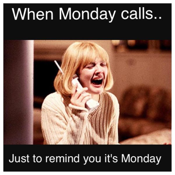 work memes - funny monday memes - When Monday calls.. Just to remind you it's Monday