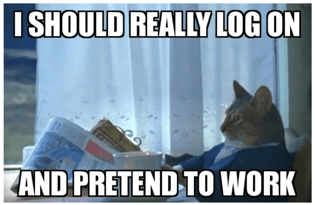 work meme - contemplating cat i should log on and pretend to work