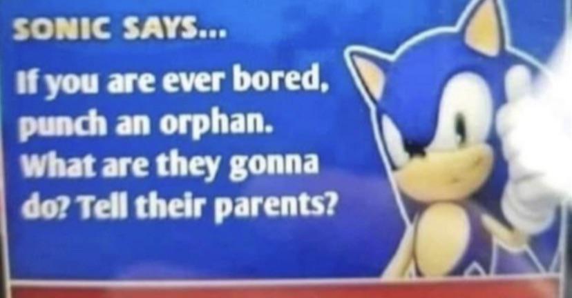 if you re ever bored punch an orphan - Sonic Says... If you are ever bored, punch an orphan. What are they gonna do? Tell their parents?