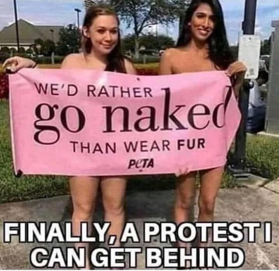 sex memes - wed rather go naked than wear fur - We'D Rather go naked Than Wear Fur Peta Finally, A Protesti Can Get Behind