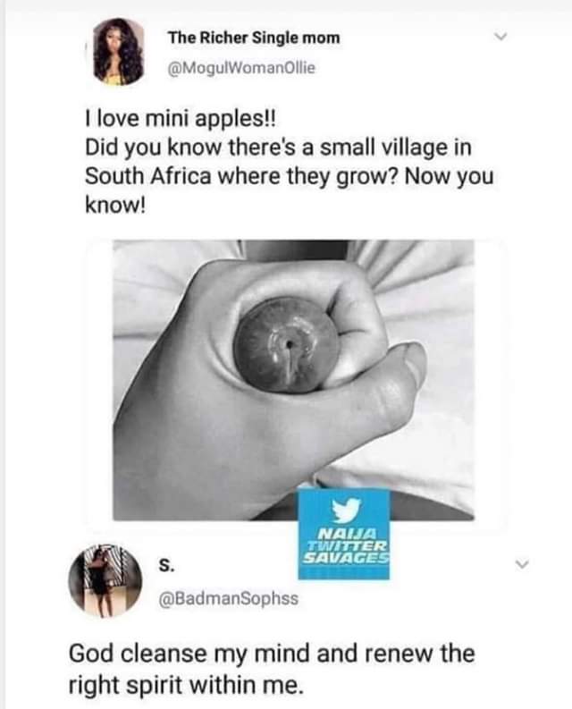 sex memes - love mini apples - The Richer Single mom Ollie I love mini apples!! Did you know there's a small village in South Africa where they grow? Now you know! Naija Tinitter Savages S. God cleanse my mind and renew the right spirit within me.