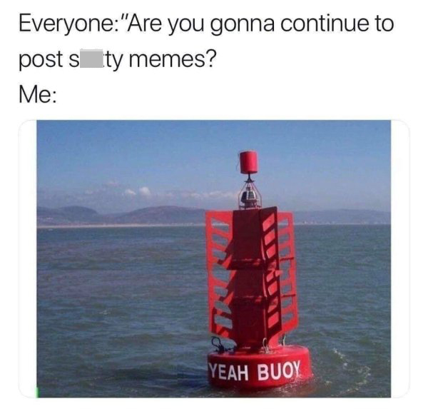 everyone: are you gonna continue to post shitty memes? me yeah buoy