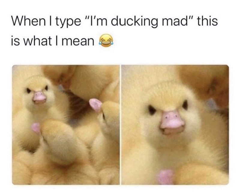 say im ducking mad - When I type "I'm ducking mad" this is what I mean