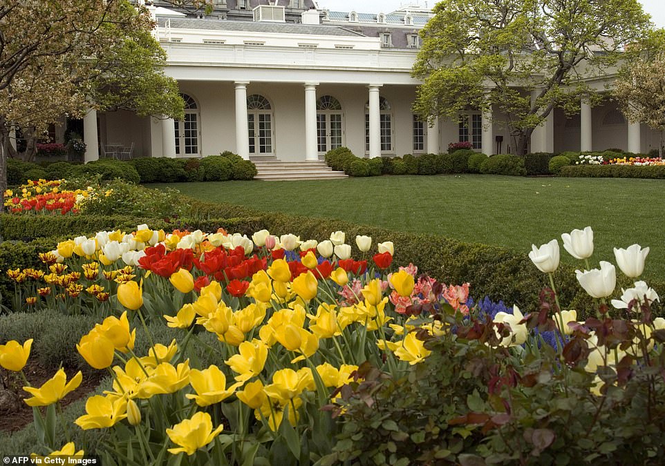 white house rose garden - Afp via Getty Images