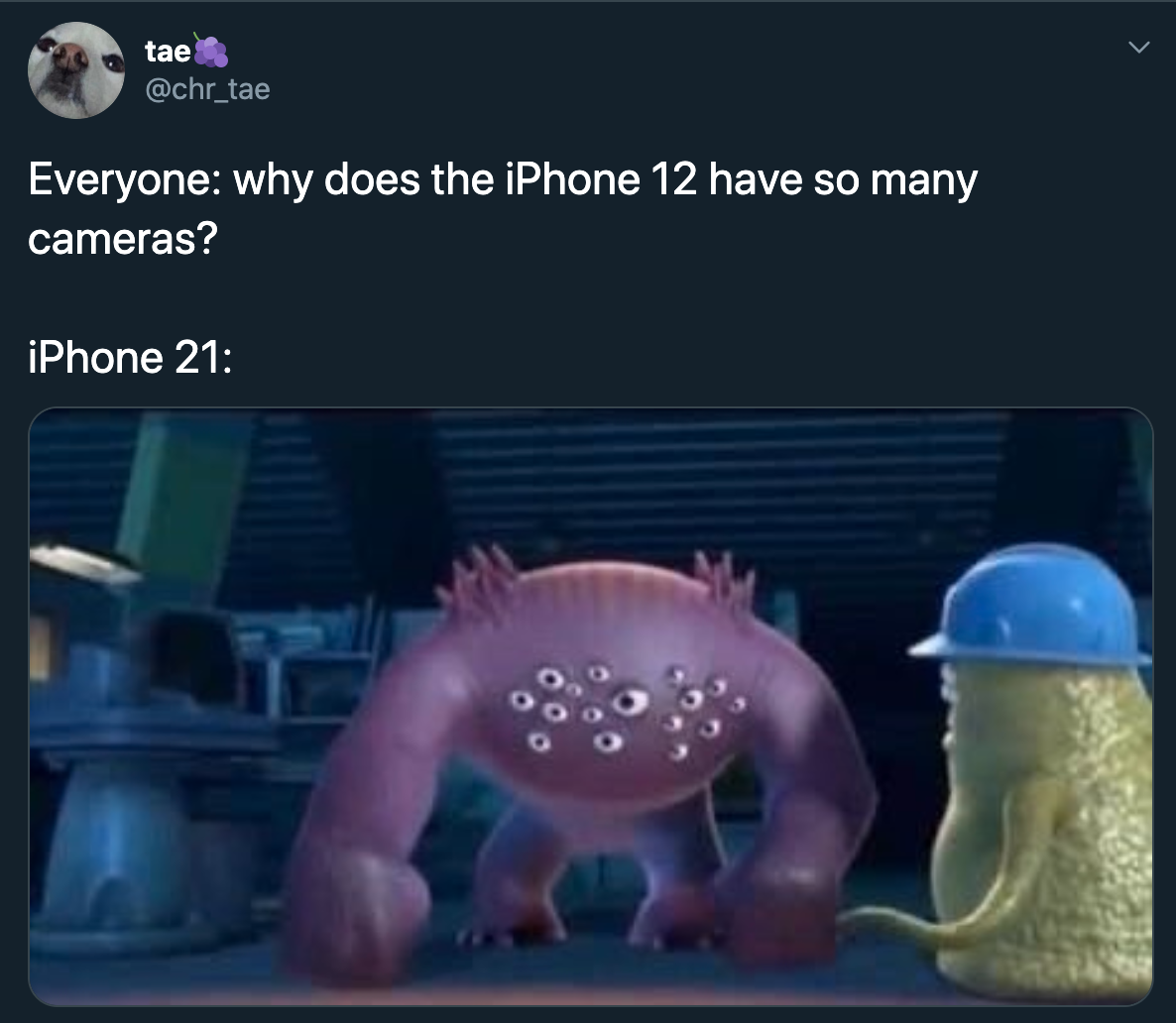 Everyone why does the iPhone 12 have so many cameras? iPhone 21