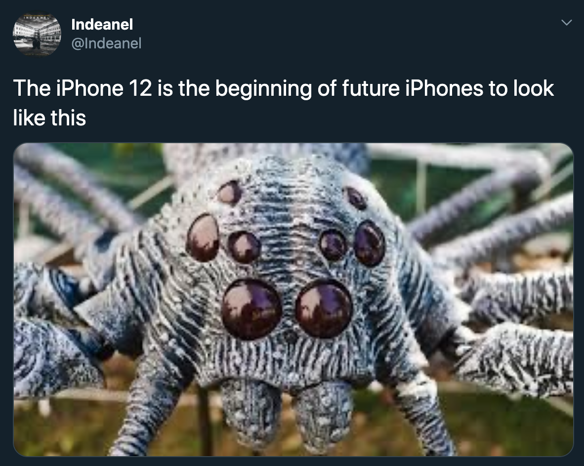 The iPhone 12 is the beginning of future iPhones to look this