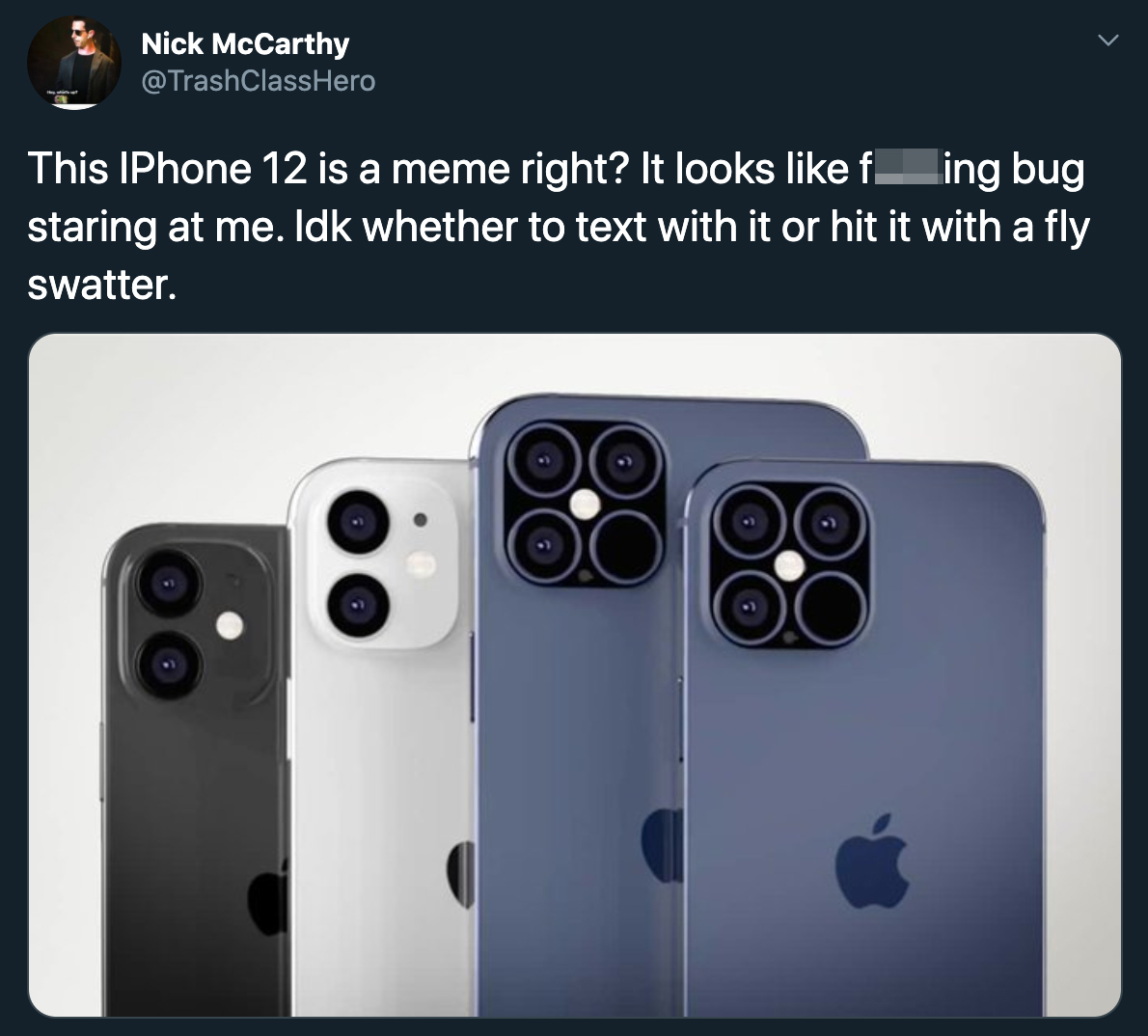 This IPhone 12 is a meme right? It looks fucking bug staring at me. Idk whether to text with it or hit it with a fly swatter.