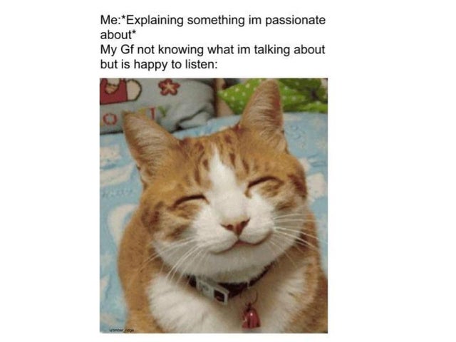 smiling cat - MeExplaining something im passionate about My Gf not knowing what im talking about but is happy to listen