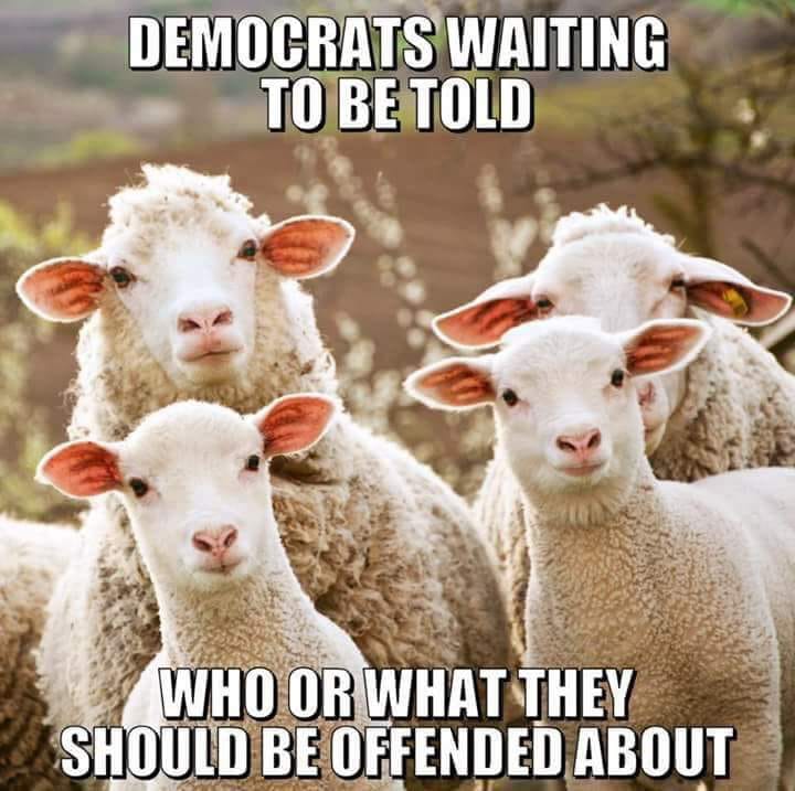 sheep drinking kool aid - Democrats Waiting To Be Told Who Or What They Should Be Offended About