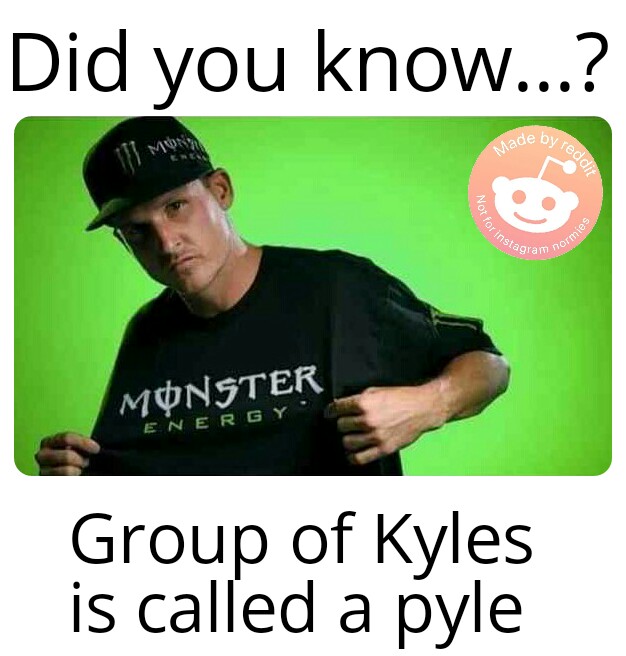 Rob Dyrdek Kyle meme - a group of kyles is called a pyle