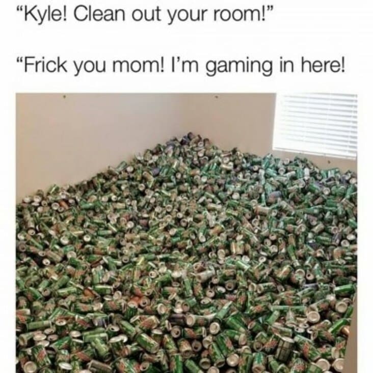 kyle memes - "Kyle! Clean out your room!" "Frick you mom! I'm gaming in here!