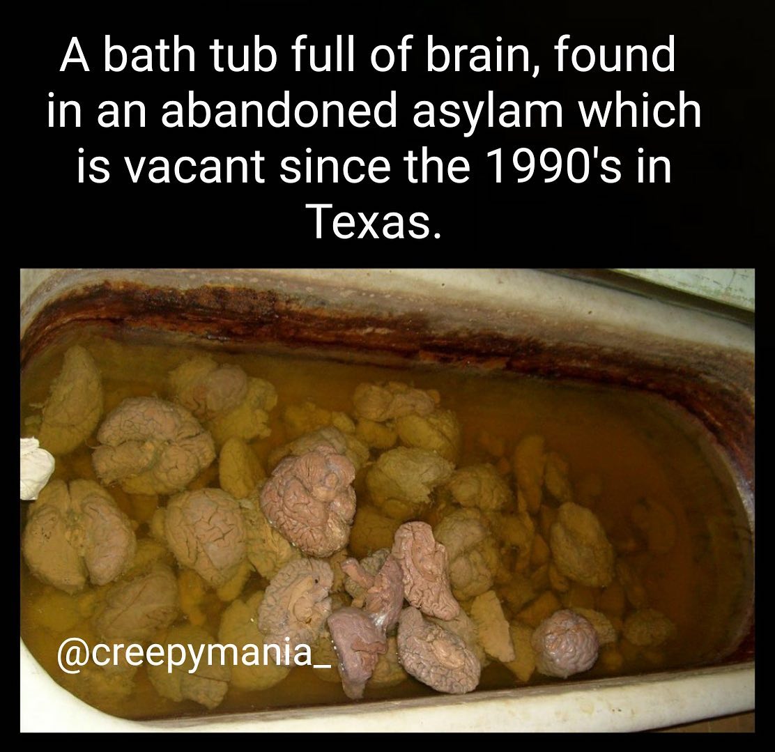 tub of brains - A bath tub full of brain, found in an abandoned asylam which is vacant since the 1990's in Texas.