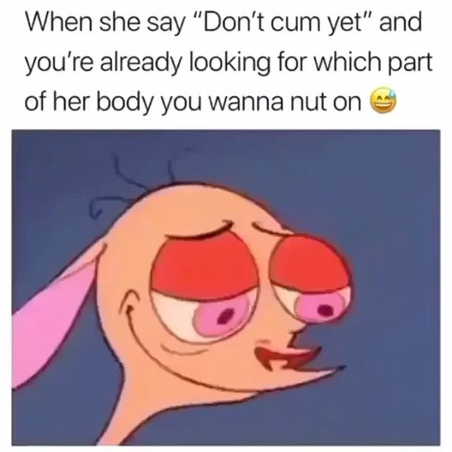 ren and stimpy ren gif - When she say "Don't cum yet" and you're already looking for which part of her body you wanna nut on