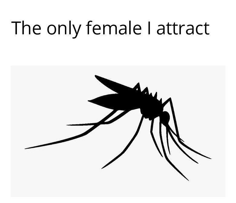 dank memes - mississippi mosquito flag  - The only female I attract