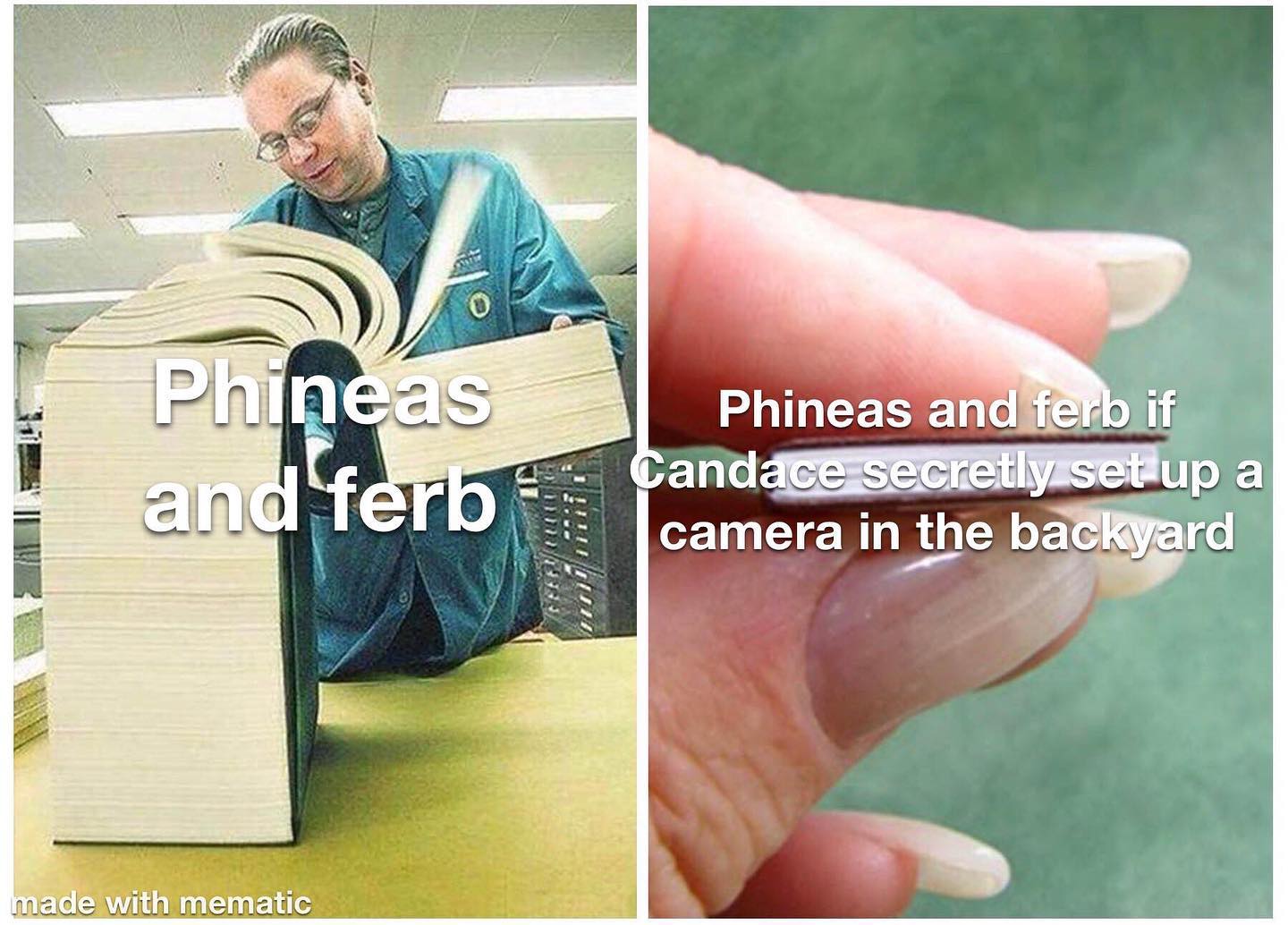 dank memes - 日本 語 memes - Phineas and ferb Phineas and ferb if Candace secretly set up a camera in the backyard made with mematic
